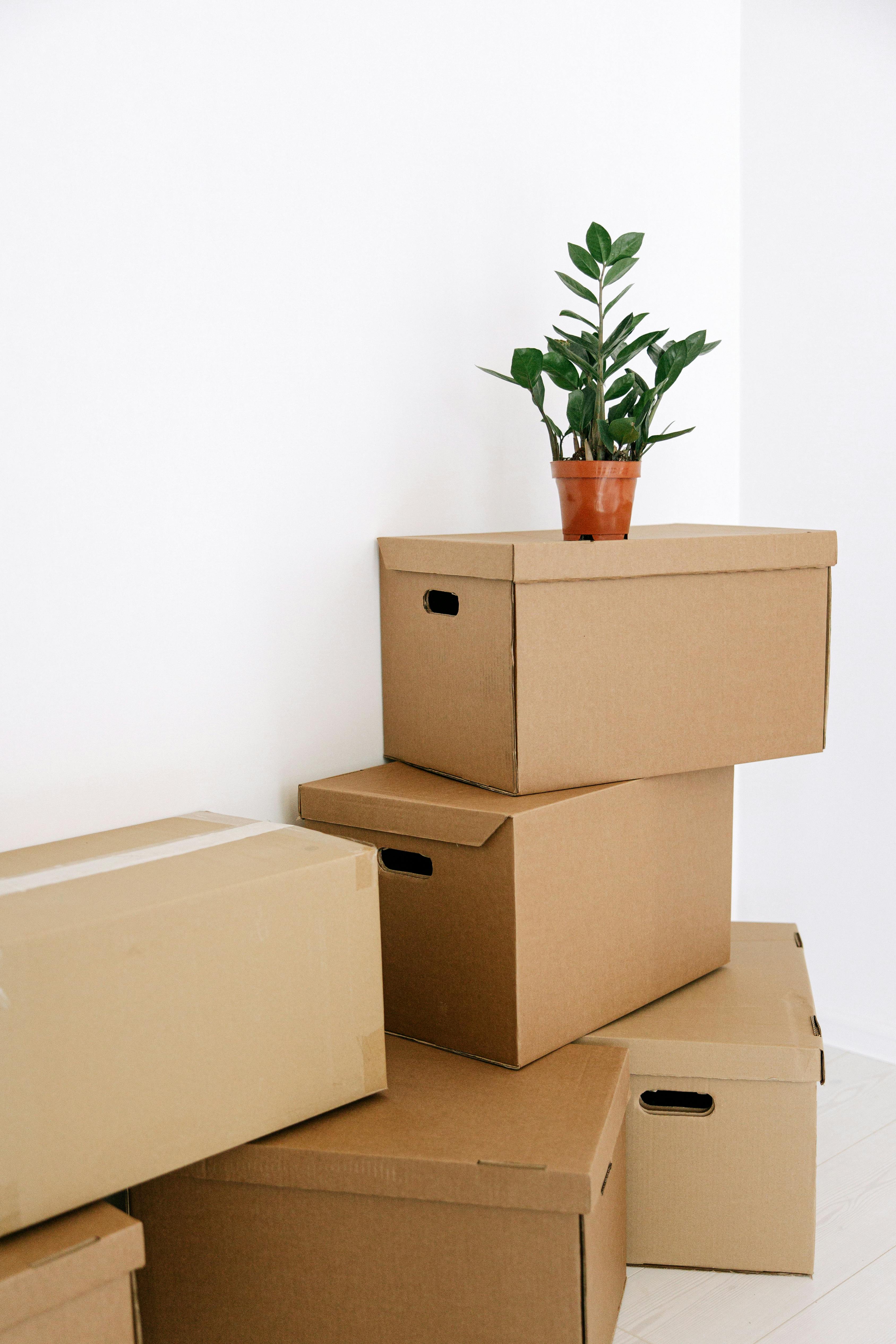 Warum Ordnungsbox